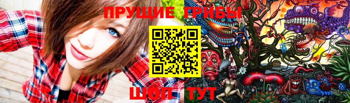 Галлюциногенные грибы Psilocybe  Галлюциногенные грибы Psilocybine cubensis  Братск  Вход с VPN 